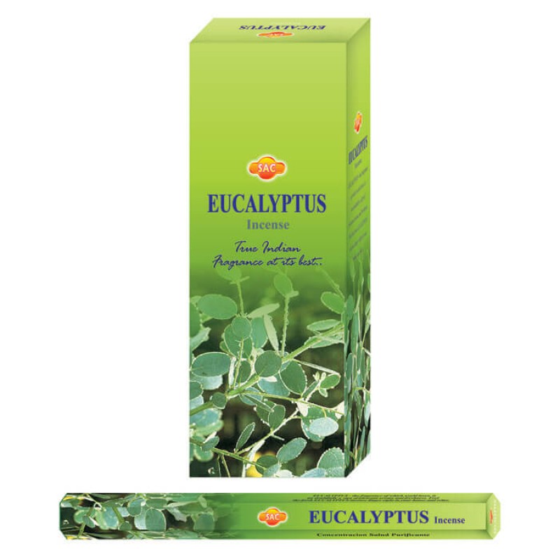 Eucalyptus